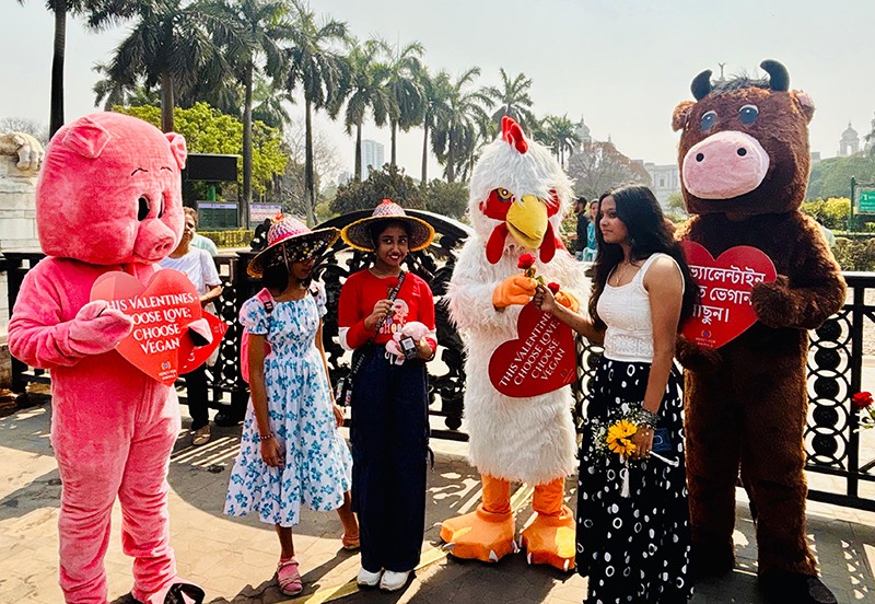 In Images: Love gets a vegan twist as activists hit the streets