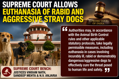 Supreme Court allows euthanasia of rabid, aggressive stray dogs in major public safety ruling