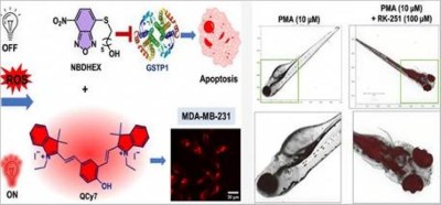 ‘Smart’ drug knows where to strike: Indian scientists target Cancer cells, spare healthy tissue