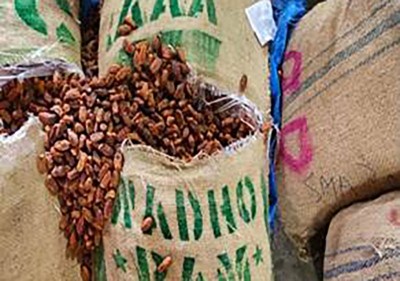What is Operation Deep Manifest? India seizes 362 tonnes of Pakistan-origin dry dates in major import ban crackdown