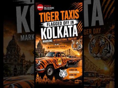 Tiger taxis in Kolkata
