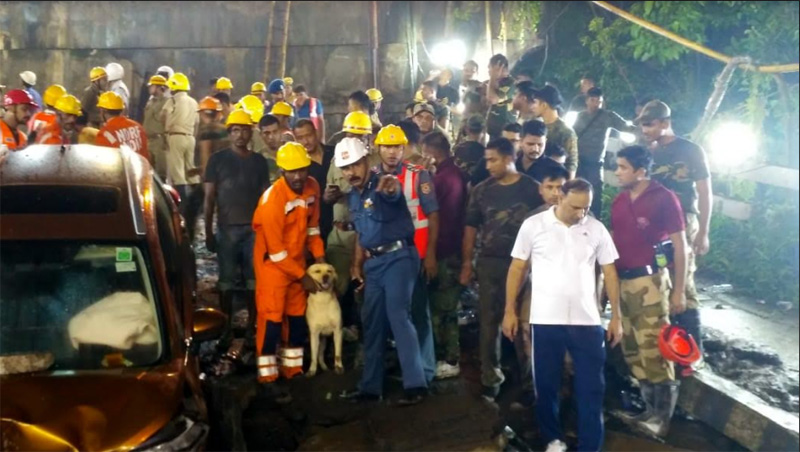 Kolkata bridge collapse: NDRF brings trained dog to find if anyone is trapped under the wreckage