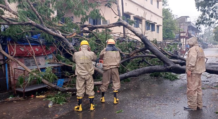 Cyclone Amphan: Fire Service personnel remove trees uprooted due to heavy winds in Odisha