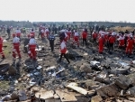 Iran: Ukrainian Boeing-737 flight with 176 passengers crashes, all onboard dead, rescue workers at site