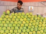 Fruit vendor selling mangoes in New Delhi