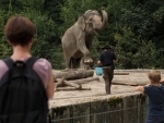 Slovenia: Visitors view Elephant Ganga playing with her keeper at the Ljubljana Zoo