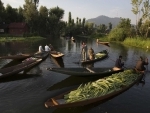 Kashmir: Vendors carry vegetables on boats at a floating vegetable market in Dal Lake