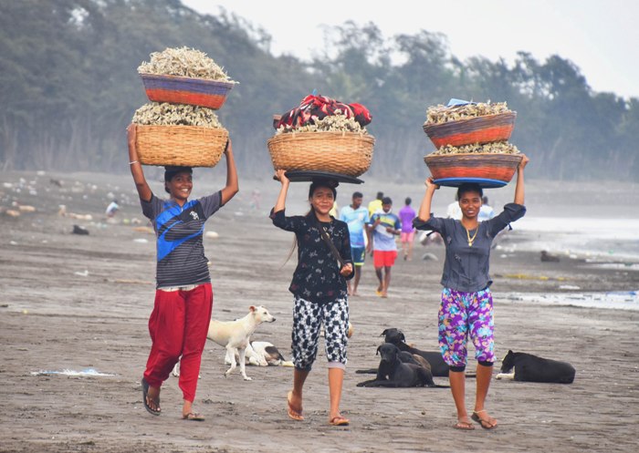 Mumbai fishermen return from sea in Mumbai