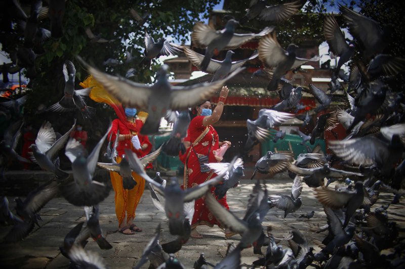 Nepalese women decked up in traditional attires feeding pigeons on Teej