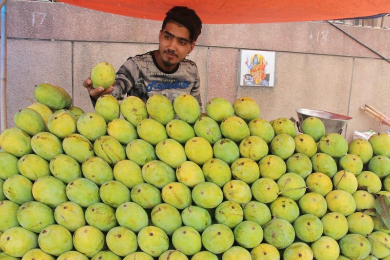 Fruit vendor selling mangoes in New Delhi