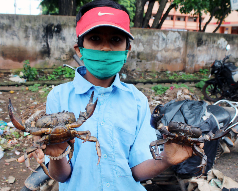 Belagavi: Villagers waiting to sell Black Crabs