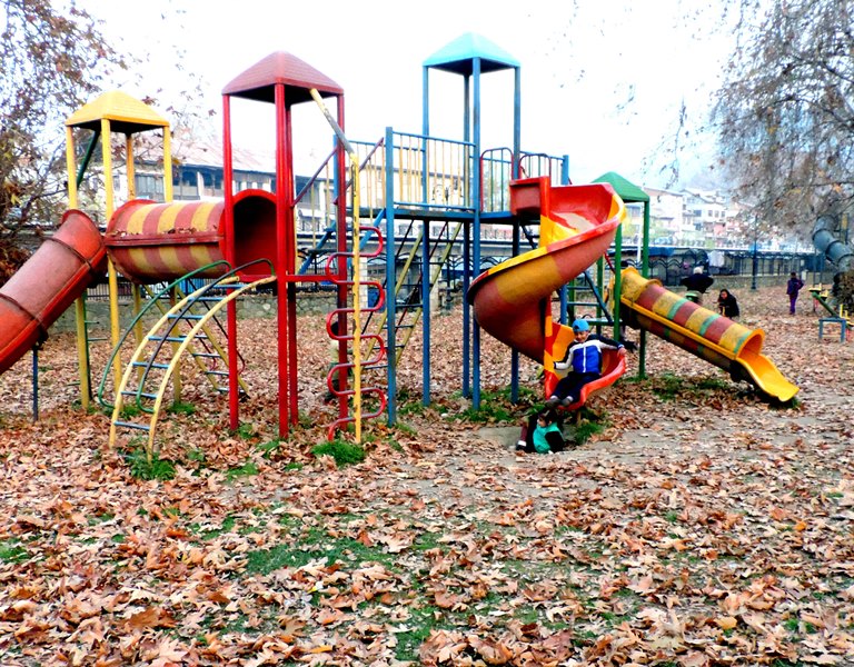 Children play in a park with Chinar leaves scattered all over in Kashmir