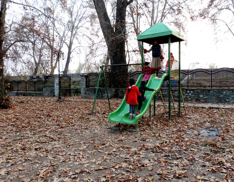 Children play in a park with Chinar leaves scattered all over in Kashmir