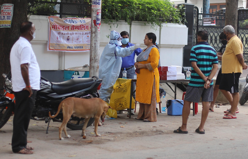 Prayagraj: Health worker collects swab