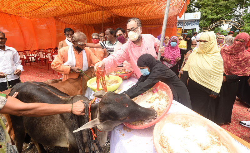 Bukkal Nawab BJP MLC tie rakhi to cows