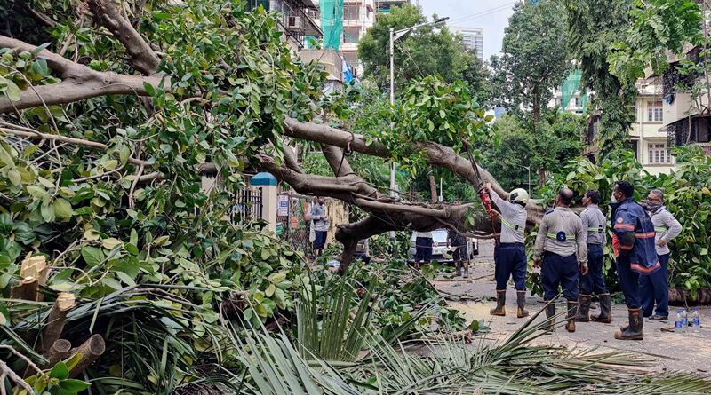 Relief operation post Cyclone Tauktae in Mumbai