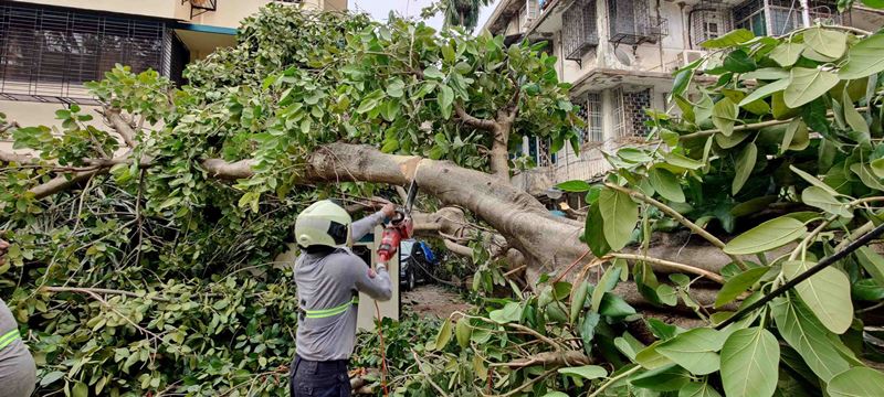 Relief operation post Cyclone Tauktae in Mumbai