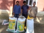 Two drug peddlers arrested with 40 kg poppy straw in Jammu and Kashmir