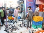 Secunderabad: People buying fish on eve of Mrigasira Karthi Festival