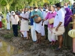 Kerala Agriculture Minister P Prasad planting paddy seeds