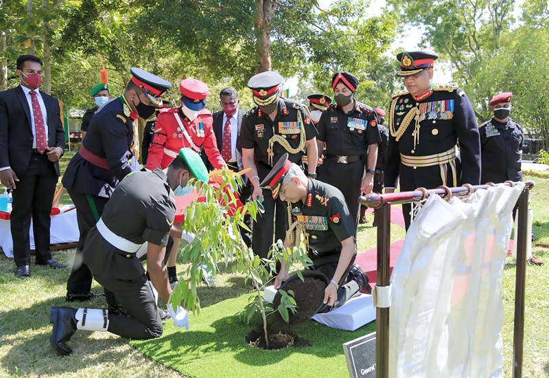General MM Naravane planting sapling during Gajaba Day Celebrations in Sri Lanka
