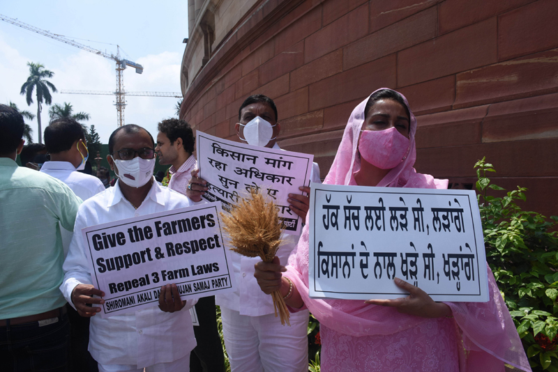 Shiromani Akali Dal leader Harsimrat Kaur Badal demonstrate against new farm law