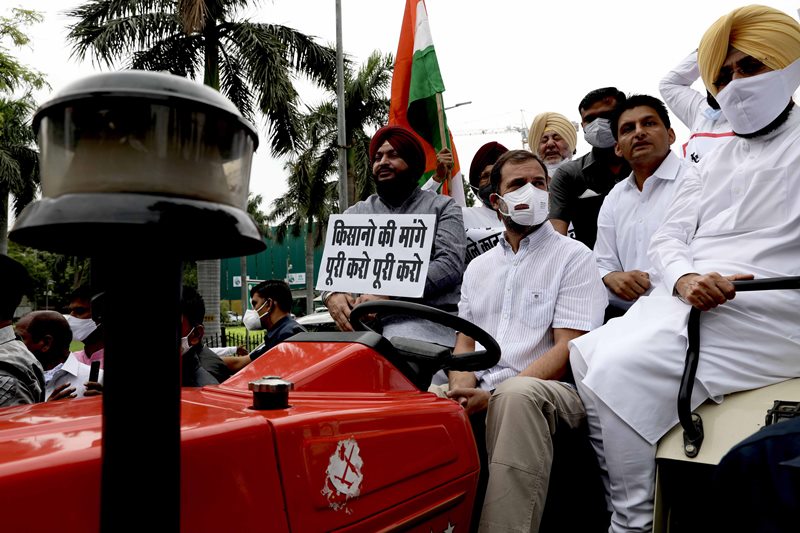 Rahul Gandhi reaches Parliament in tractor to protest against farm laws