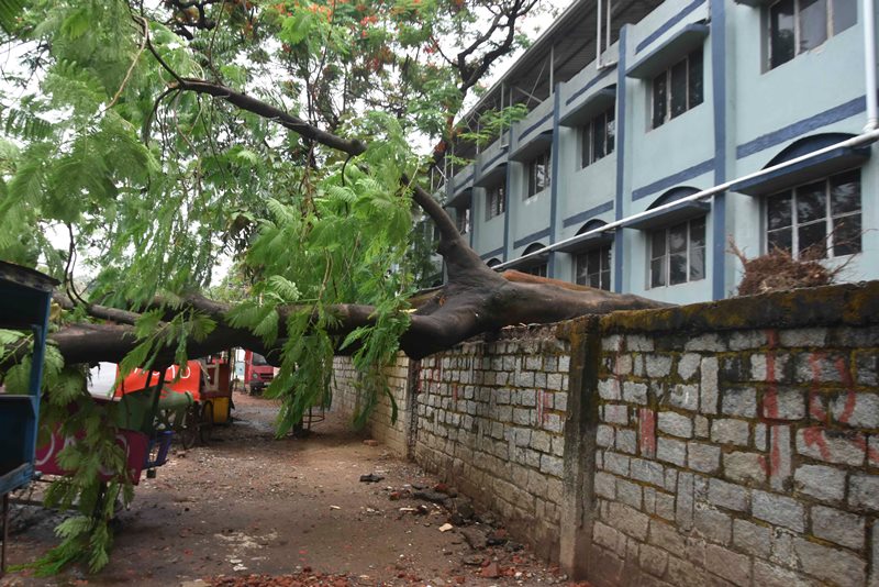 Cyclone Yaas hits Odisha, West Bengal