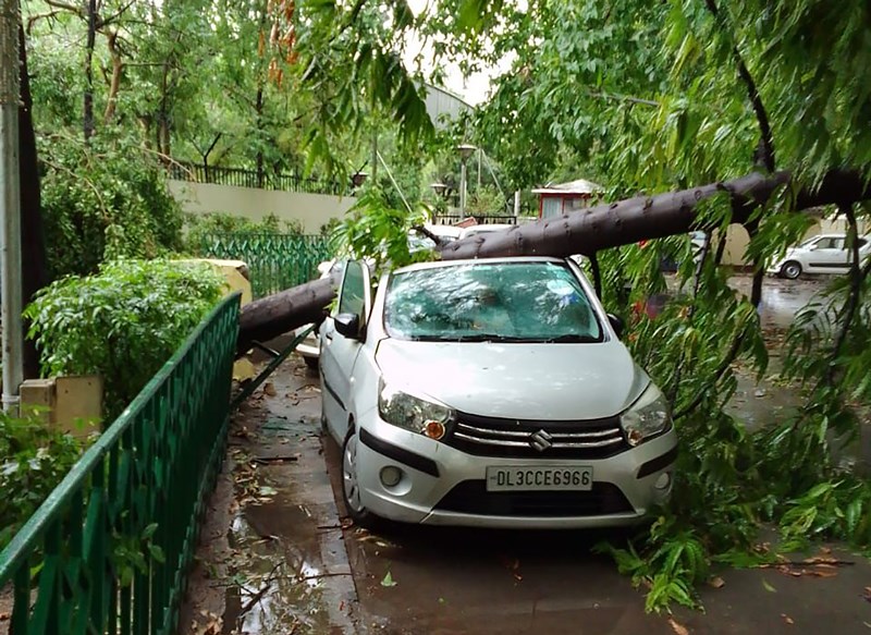An uprooted tree falls on car during heavy rainfall in Delhi