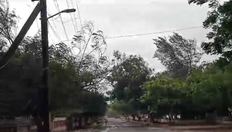 Cyclone Biporjoy landfall process starts: In images stormy sea, uprooted trees in Gujarat's Porbandar