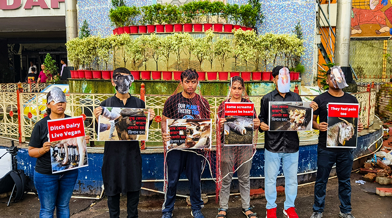 'Freedom For All': Animal rights activists unite in Kolkata for a unique campaign