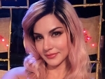 Sunny Leone paints hairs pink