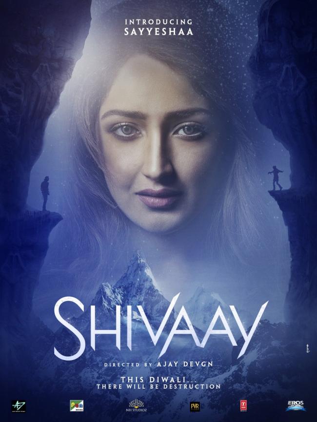 Sayyeshaa look from Ajay Devgn's directorial 'Shivaay' unveiled