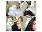 Jacqueline Fernandez enjoys photo session with her cat