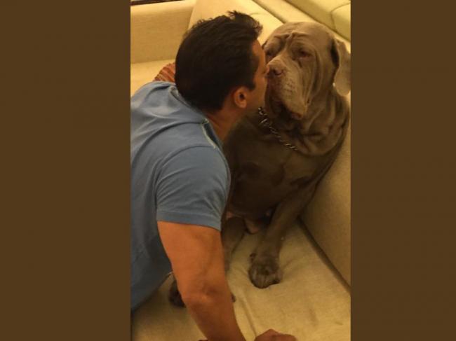 Salman Khan's pet dog dies, leaves him emotional