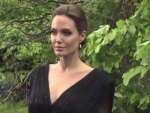 Angelina Jolie 'seeing' a real-estate agent?