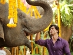 Vidyut Jammwal's Junglee to release next year