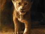 Makers release The Lion King's teaser trailer