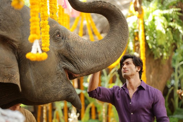 Vidyut Jammwal's Junglee to release next year