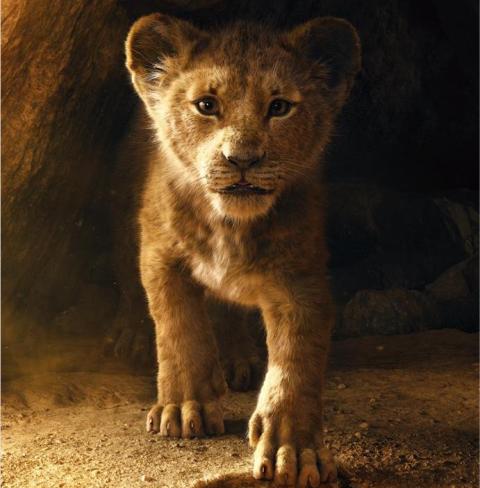 Makers release The Lion King's teaser trailer