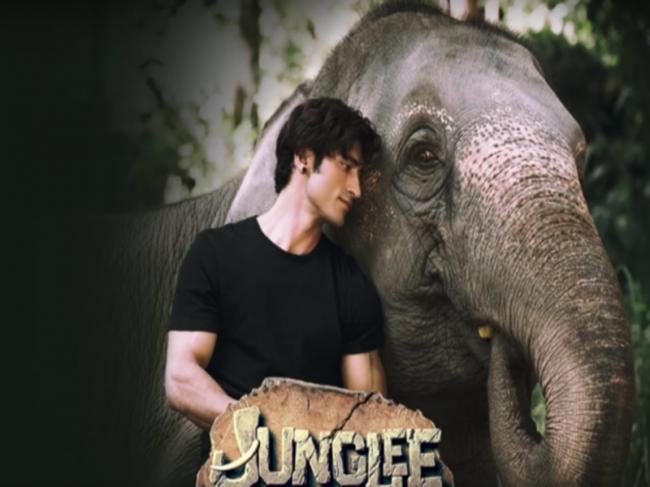 Makers release teaser of Junglee