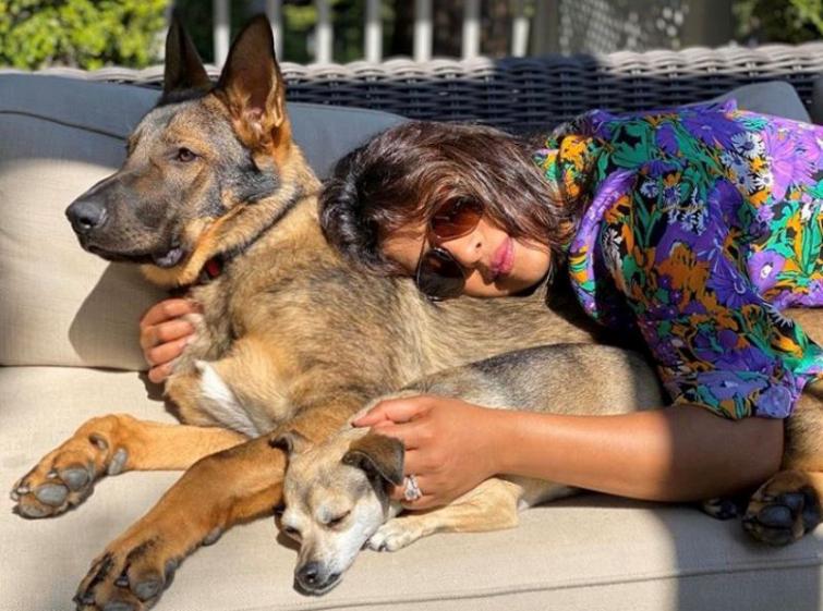 Priyanka Chopra Jonas cuddles dogs in sunshine