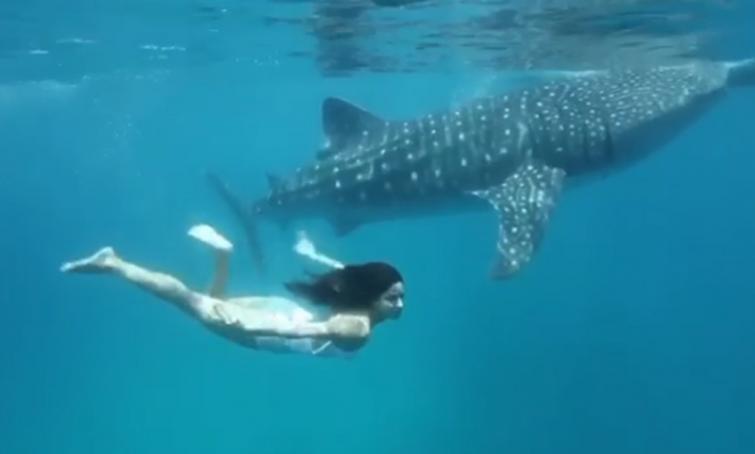 World Oceans Day: Katrina Kaif once went for swim with an underwater friend, shares video