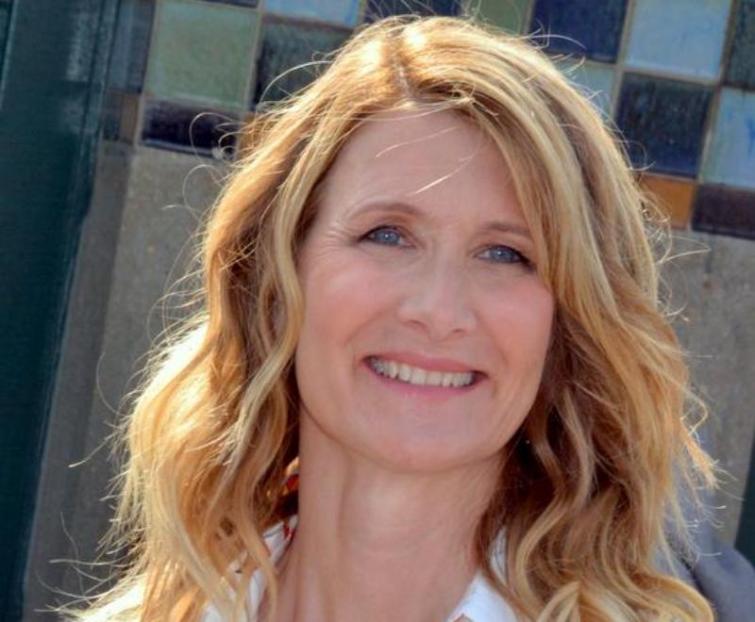 Laura Dern of Marriage Story wins Best Supporting Actress of 92nd Oscars