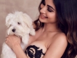 Do you know what Mouni Roy's 'happy place' is?