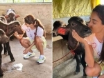 Disha Patani spends time with cow, kisses the animal