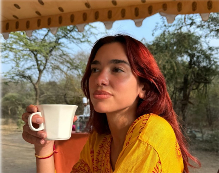 Dua Lipa says her India visit was deeply meaningful