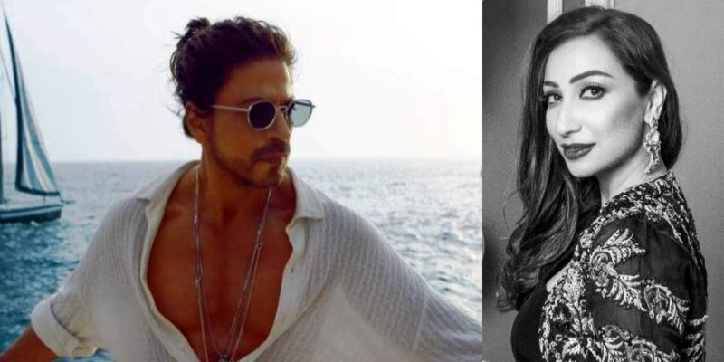 Pakistani actor Anoushey Ashraf shuts netizens who trolled her for praising SRK over Pathaan success
