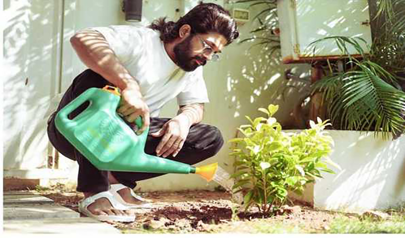 Southern superstar Allu Arjun plants saplings on World Environment Day
