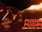 'Pushpa Pushpa' single from Allu Arjun's Pushpa 2 to be out on this date